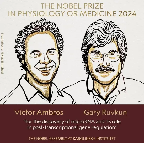 2024年诺贝尔生理学或医学奖获奖者，Victor Ambros和Gary Ruvkun